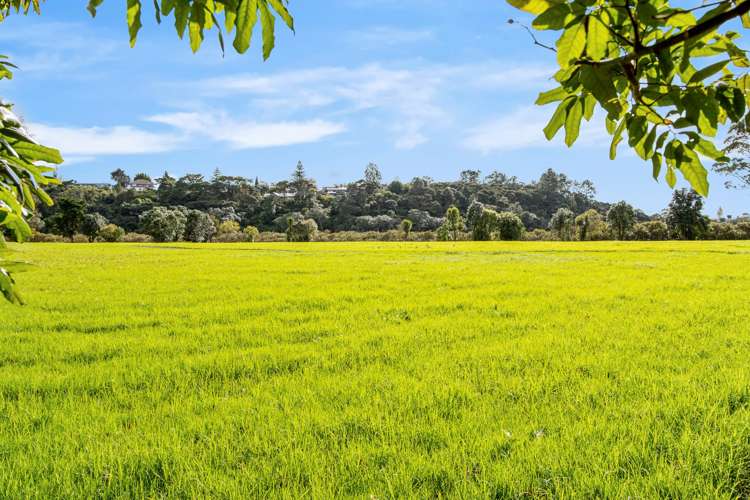 1/6 Noall Street Te Atatu Peninsula_8