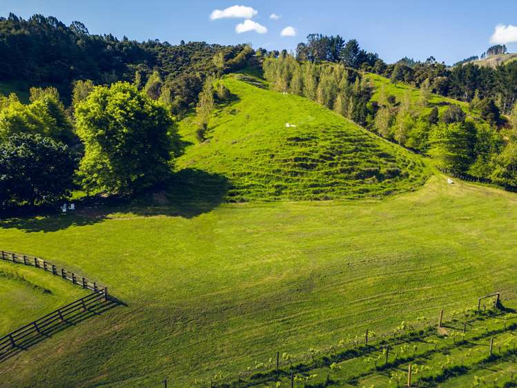 160A Twilight Road Clevedon_11