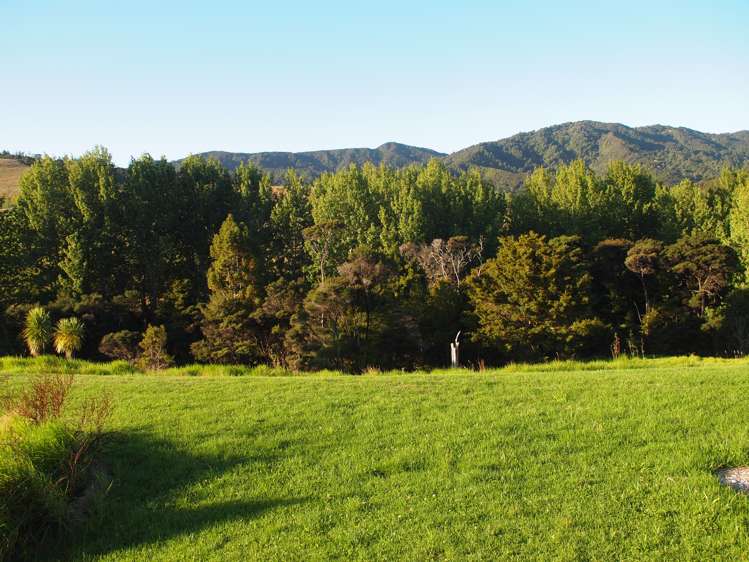 402b King Road Mangawhai_15