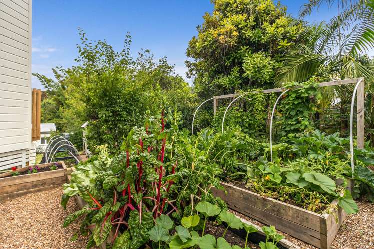 8 Tui Street Oneroa_29