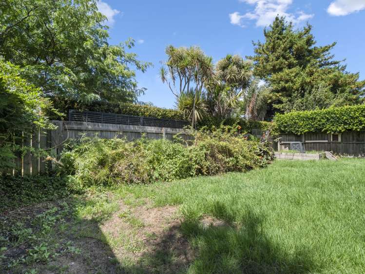 43a Moa Road Point Chevalier_2