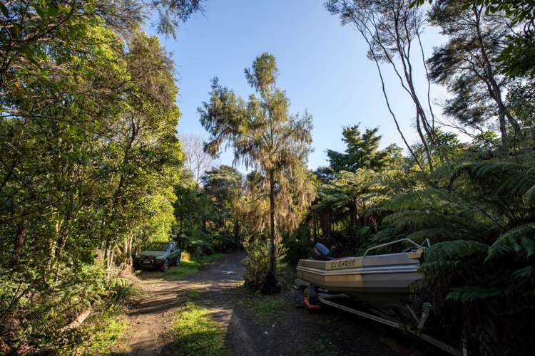 225b Driving Creek Road Coromandel_4