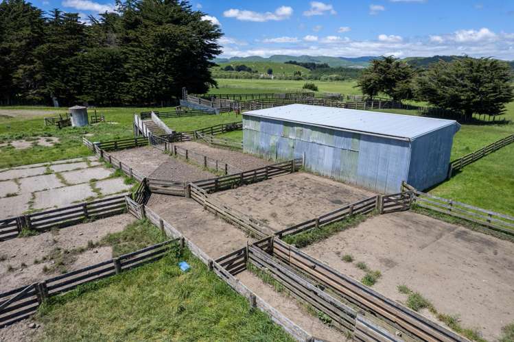 253 Oringi Road Dannevirke_7