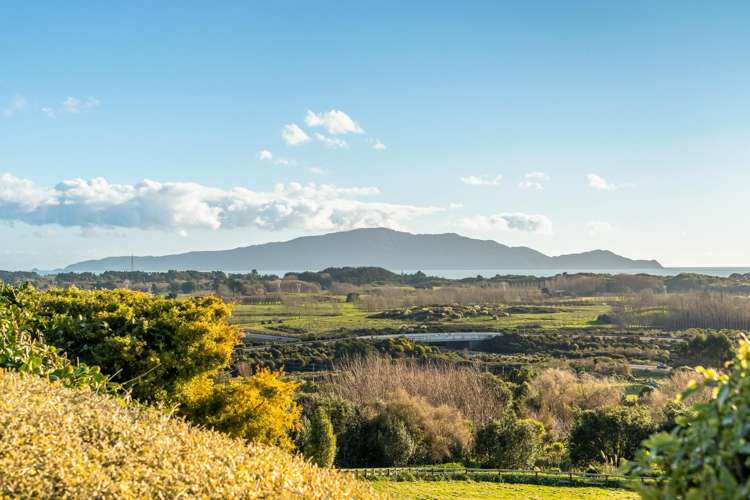 57 Octavius Road Peka Peka_25