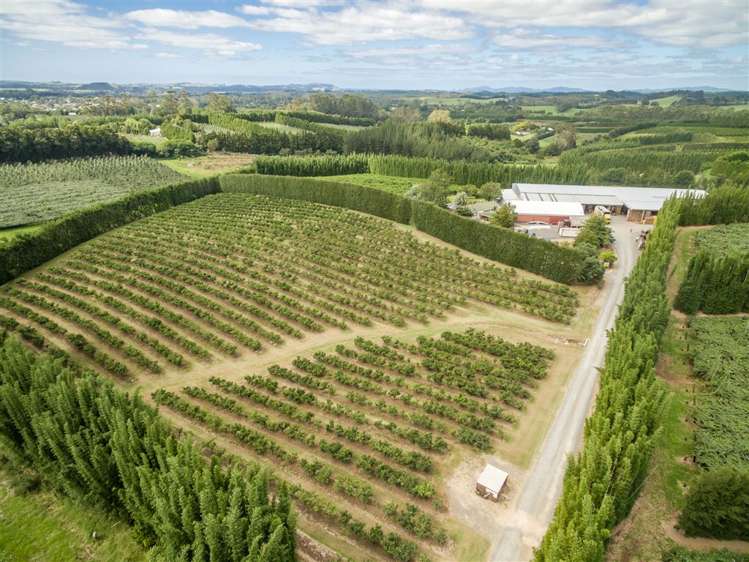 517 Kerikeri Road Kerikeri_12