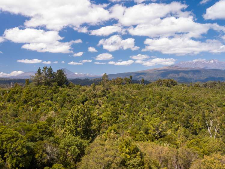 552b Cuff Road National Park_21