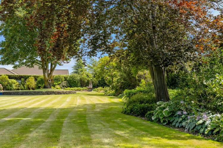 71 Murphys Road Springlands_28