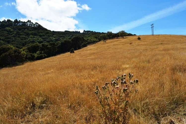 12 Pawsons Valley Road Duvauchelle_13