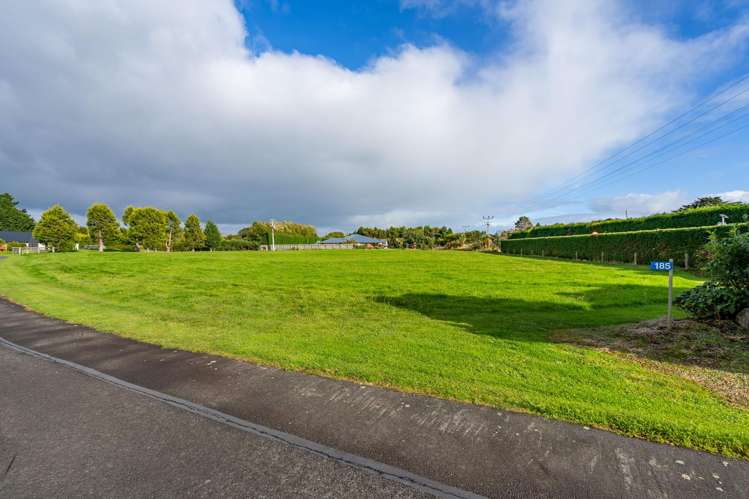 185 Dunns Road Otatara_7