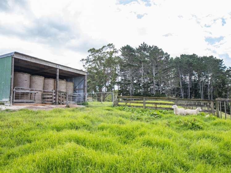 245 Opanake Road Dargaville Surrounds_10