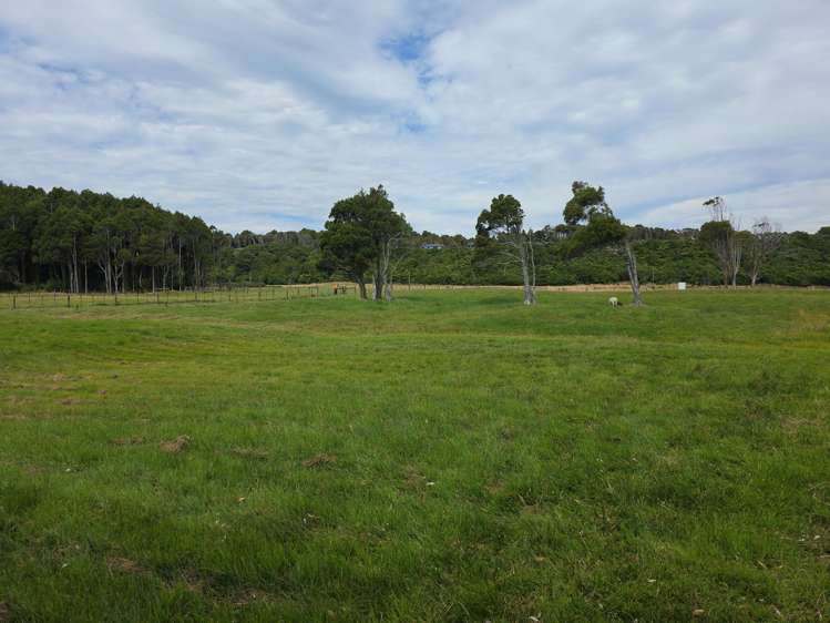 125 Golf Links Road Ruatapu_18