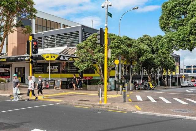 Lower Ground/529 Lake Road Takapuna_2