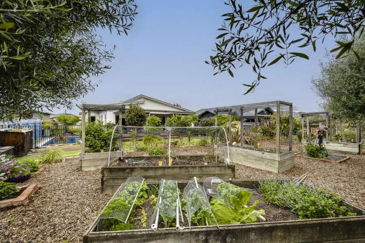 31 Napier Street Jervoistown_15