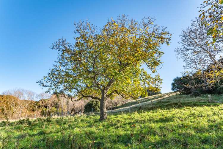 129 Bells Road Takamatua_9