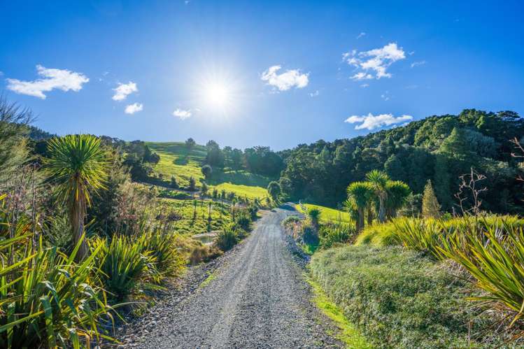 345 Taraunui Road Parua Bay_8