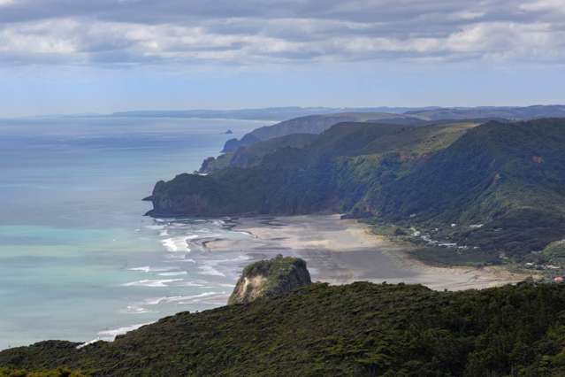 8 Log Race Road Piha_3