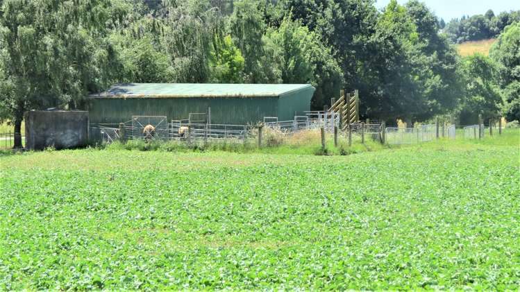 24 Greenacres Road North Redwood Valley_7