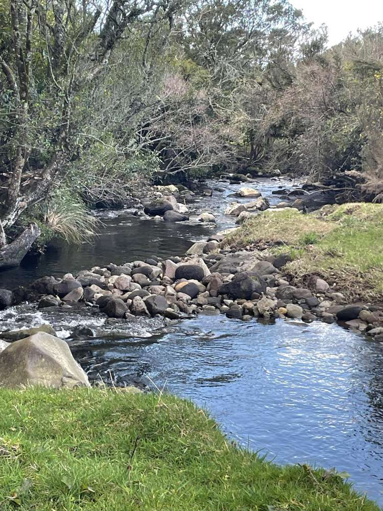 699 Durham Road Upper Norfolk_19