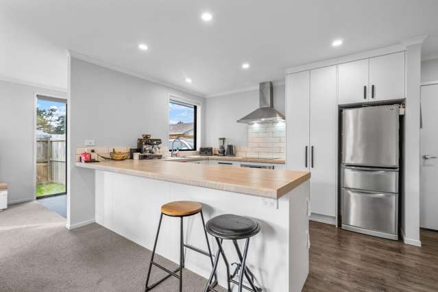 99B Bruce Avenue 1071_1