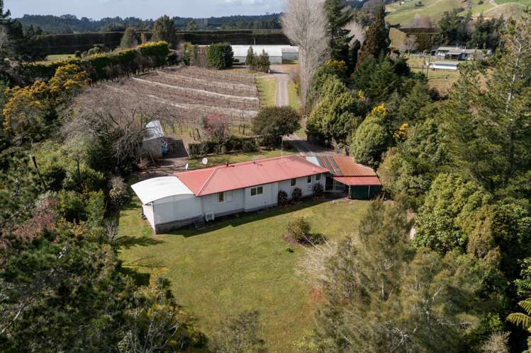 1164 No 3 Road Te Puke_6