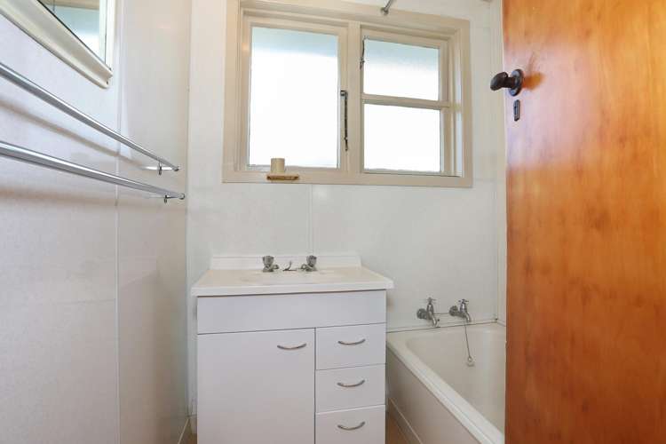 14 Ward Street Bulls_12