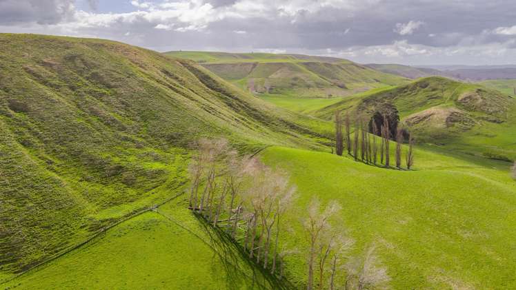 352 Hatuma Road Waipukurau and Surrounds_11