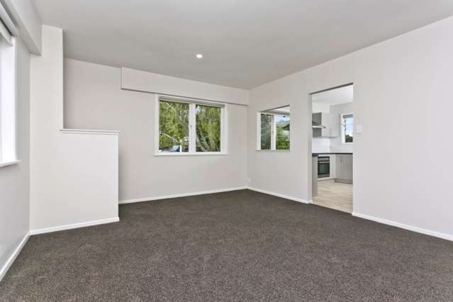 169a Shakespeare Road Bluff Hill_2