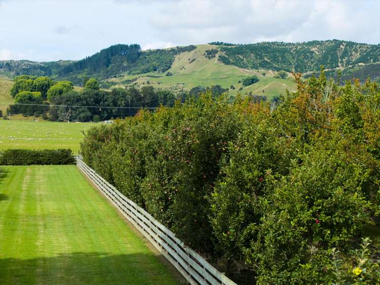 1084 Back Ormond Road Waerengaahika_27