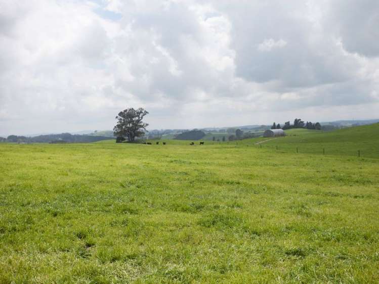 438 Waotu South Road Putaruru_30