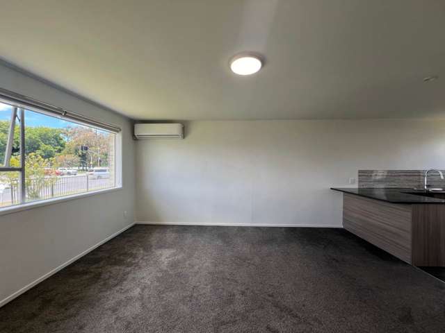 2/156 Lincoln Road Henderson_4