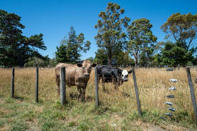 69 Longwood East Road South Featherston_30