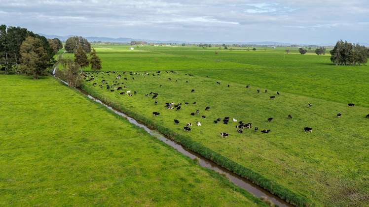 118 + 119 Wharepoa Road Netherton_23