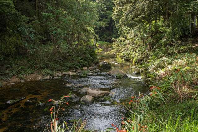 729 Puhipuhi Road Whakapara_3