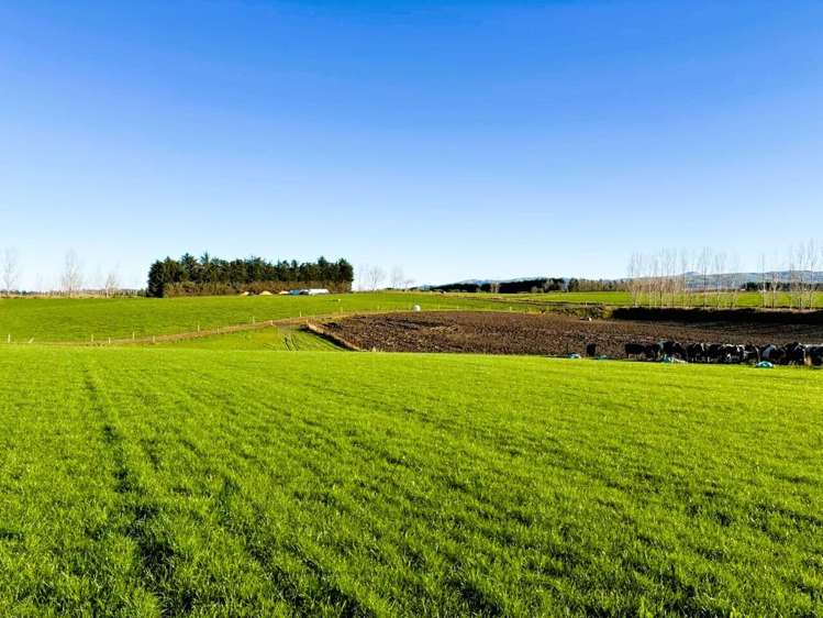 1593 Glenkenich Road Crossans Corner_9