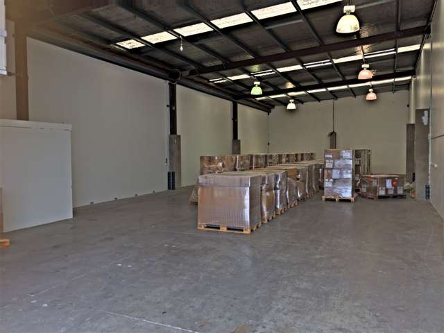 26 Byron Street Sydenham_4