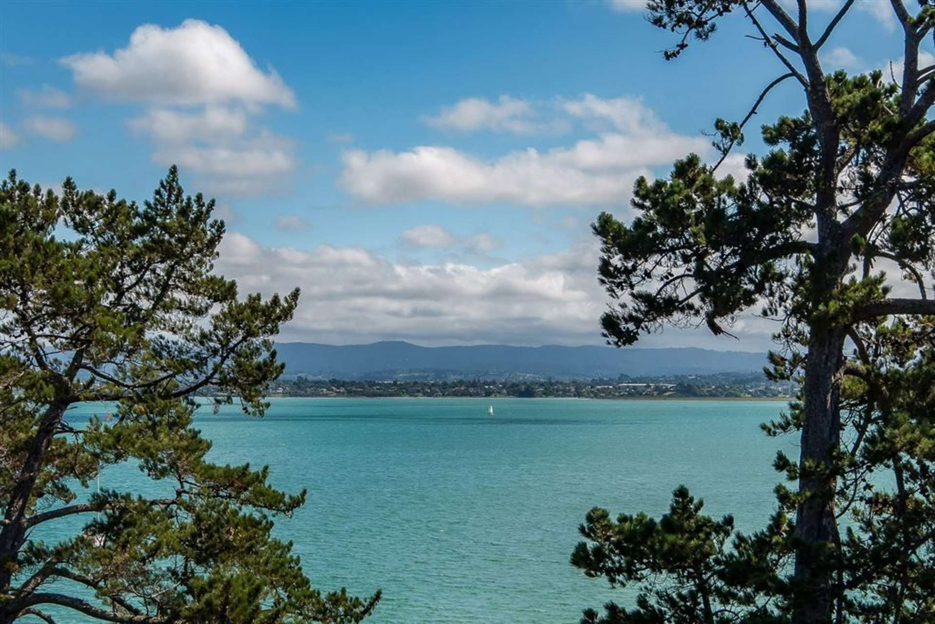 2/32 Jacaranda Avenue Beach Haven_0