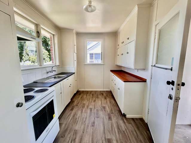 3 Ward Crescent Marewa_1