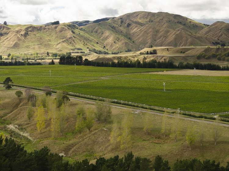 Lots/25 & 36 Te Muna Road Martinborough_12