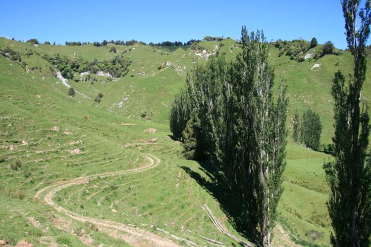 5 Marco Road Ruapehu-King Country Surrounds_10