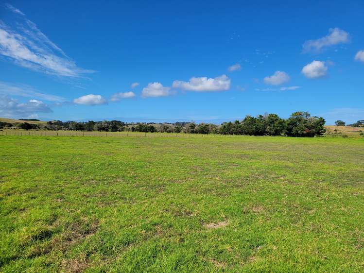 1919 Pouto Road Te Kopuru_18