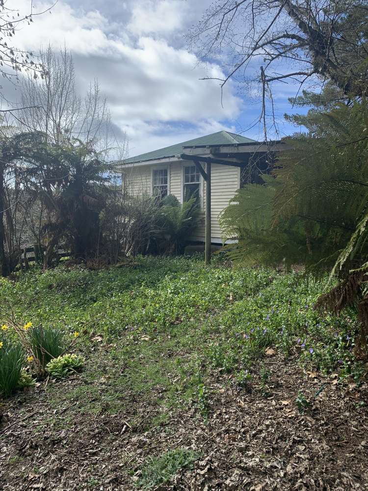 1979 Ongarue Stream Road Waimiha-Ongarue_3