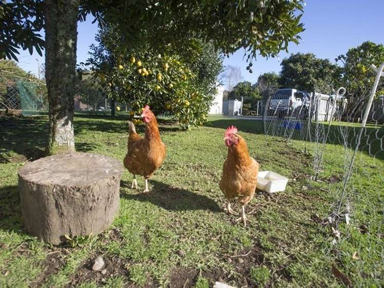 109a Ngati Pu Place Whangamata_13