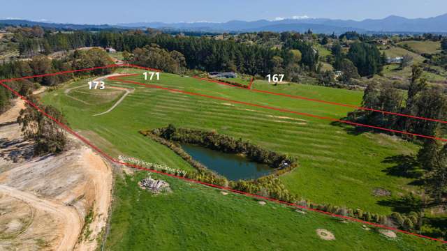 173 Dominion Road Mahana_2