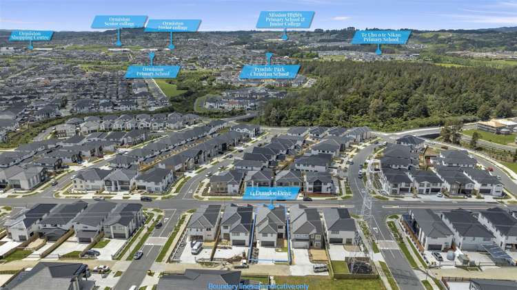 14 Dungloe Avenue Flat Bush_32