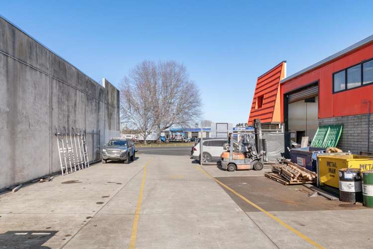 99 Birch Avenue Judea_5