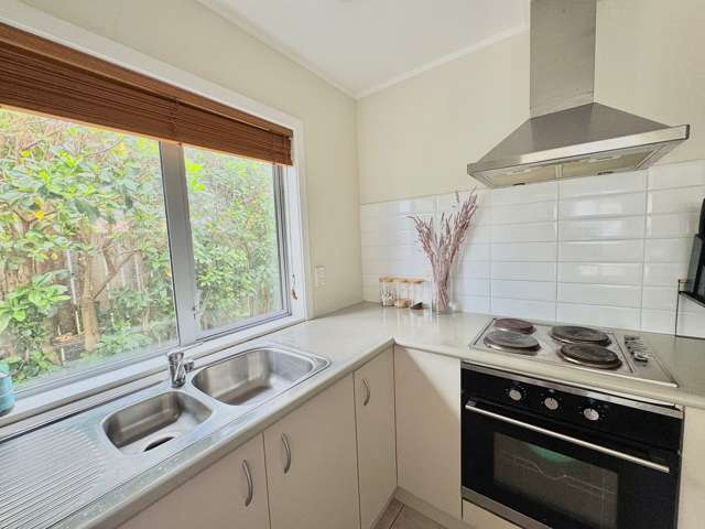 62A Calabar Road Miramar_4