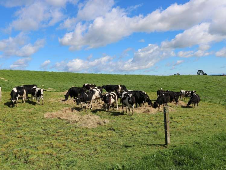 2237 Old Taupo Road Putaruru_25