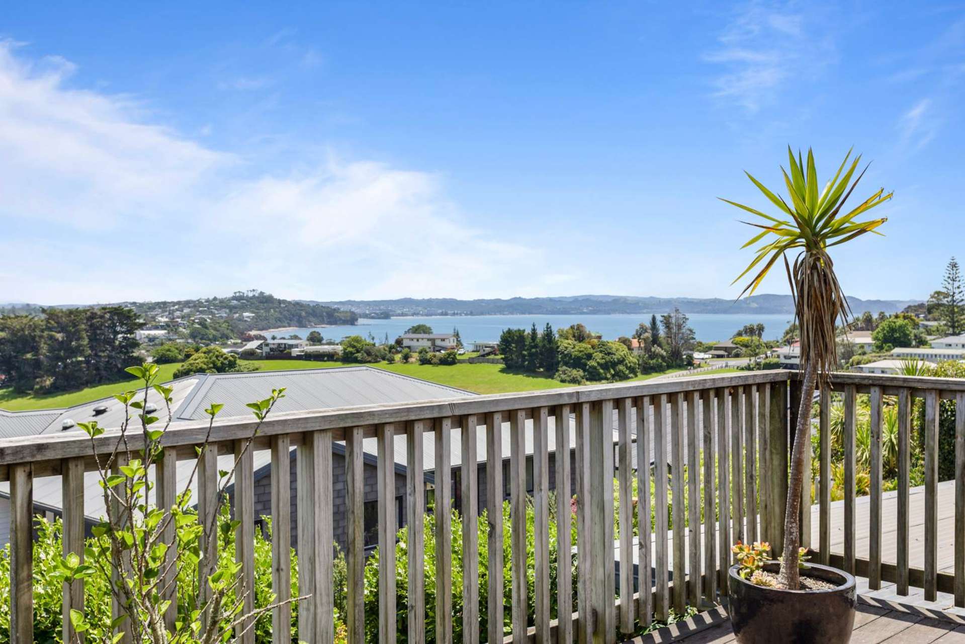 6 Grandview Road Stanmore Bay_0