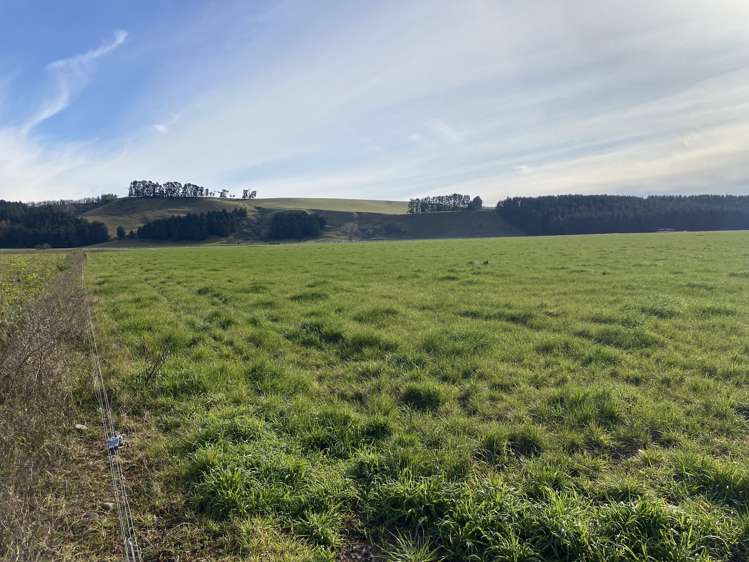 305 Tengawai Flat Road Pleasant Point_14