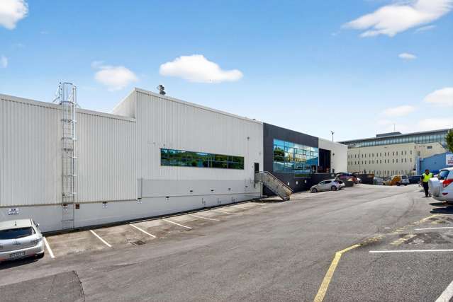 51 Normanby Road Mt Eden_3